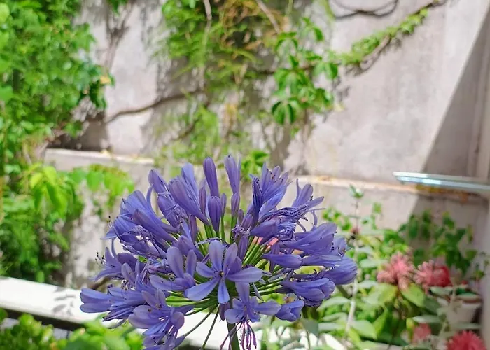 Udobna Soba Za Dvoje 3* Hvar Town